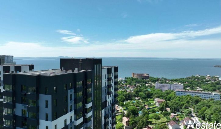 4-комн квартира в новом доме улица Мусоргского, 72/1,  д. 72/1