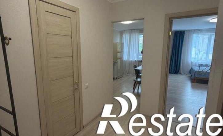1-комн квартира улица Адмирала Горшкова, 55,  д. 55