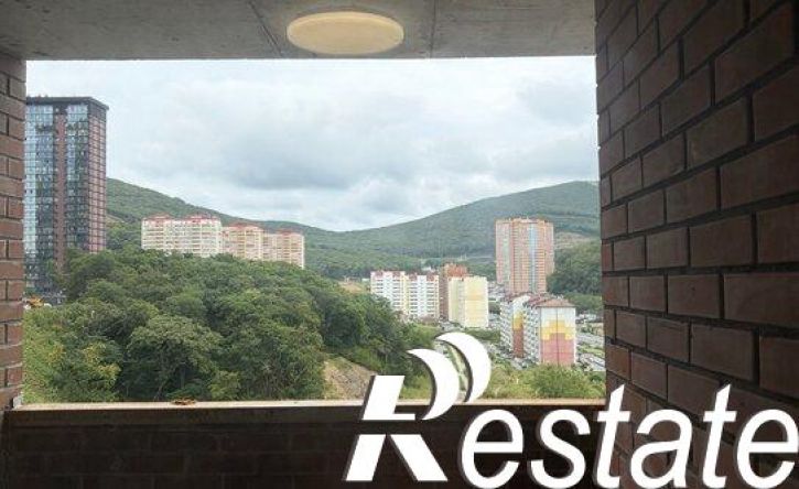 1-комн квартира улица Адмирала Горшкова, 55,  д. 55